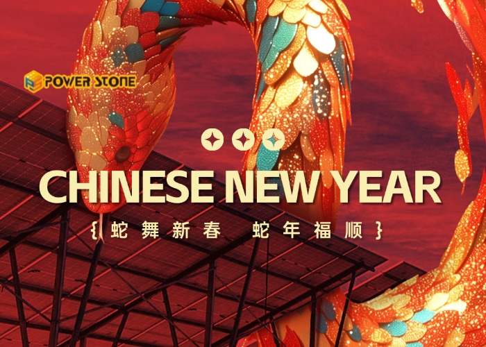 2025 Bonne année chinoise!